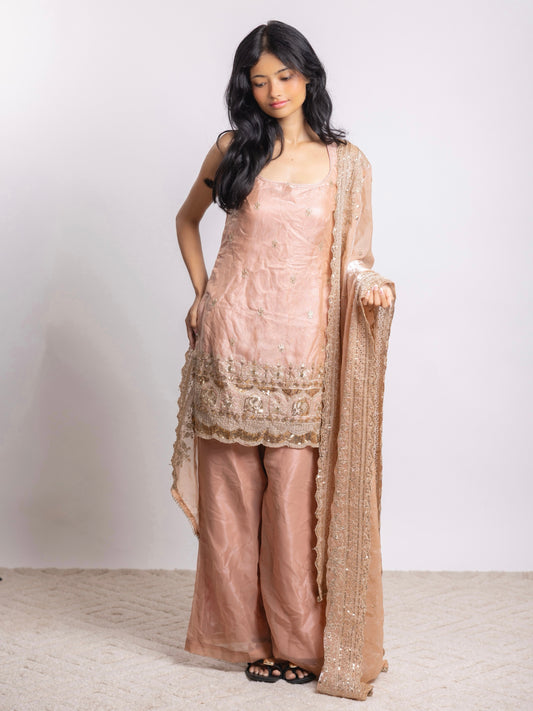 Blush Noor Kurta