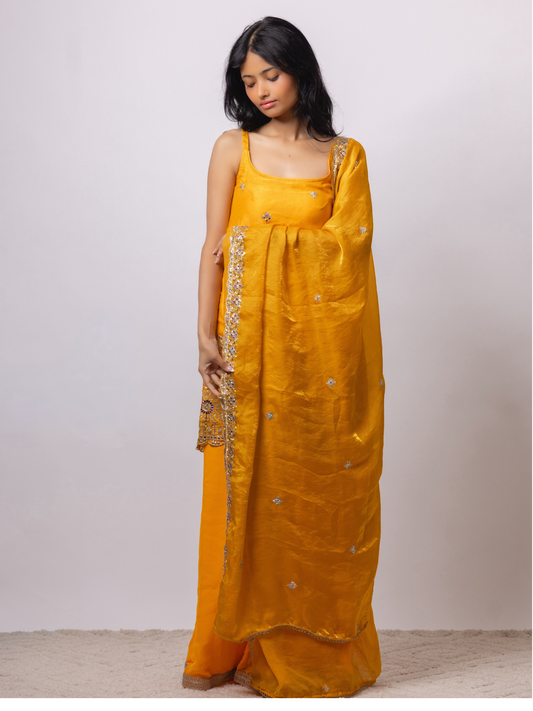 Golden Noor Kurta