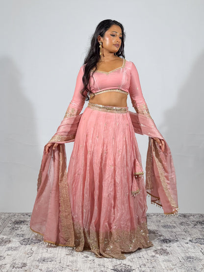 Blush Pink Sitara Lehenga