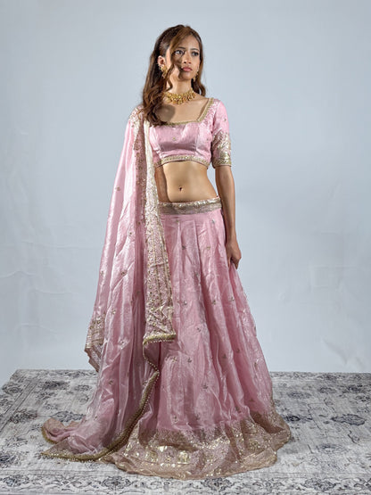 Petal Pink Sitara Lehenga
