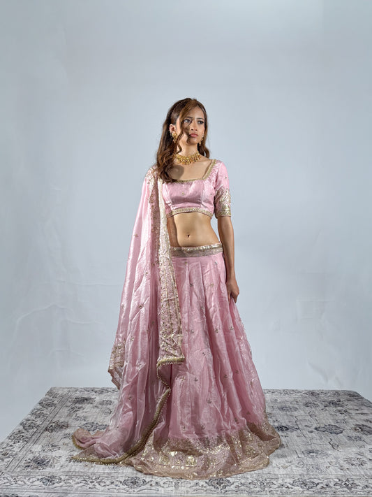 Petal Pink Sitara Lehenga