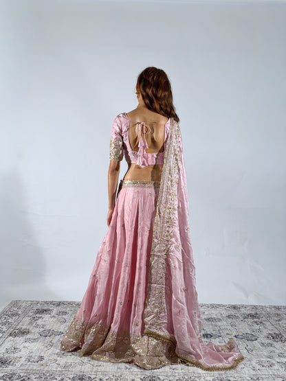 Petal Pink Sitara Lehenga