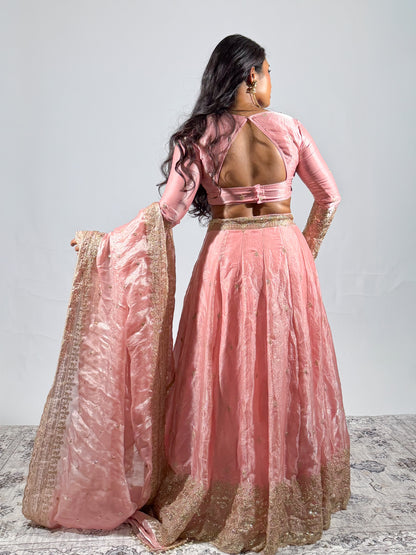 Blush Pink Sitara Lehenga