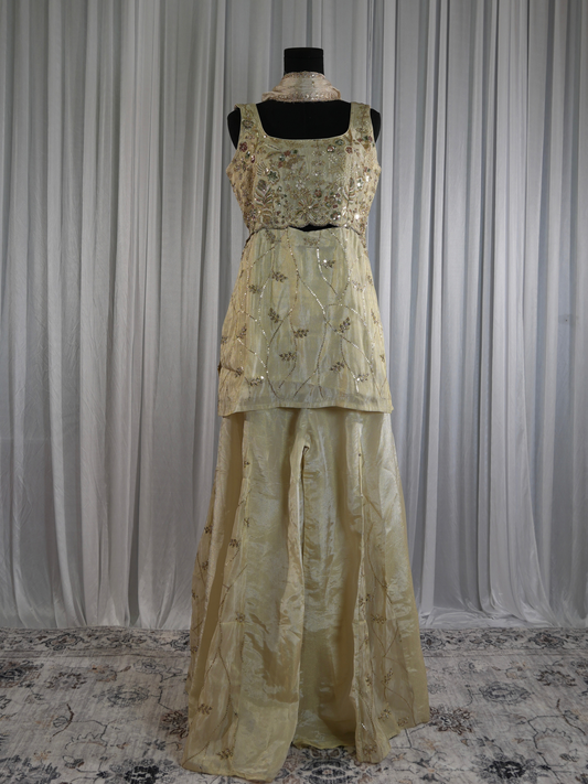 Noorani Palazzo Set